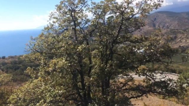 Крым на шоссе - 3 смотреть онлайн