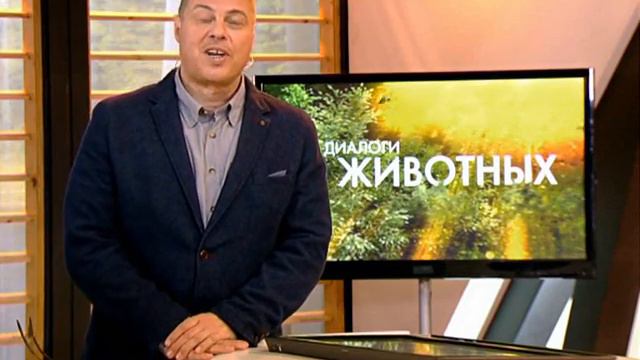 Наши гуси стали героями программы 