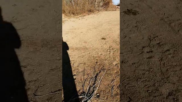 Пляш и наступление земы лето уходит начинается зима. (1) смотреть онлайн