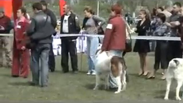 САО выставка Кировоград 2009. смотреть онлайн