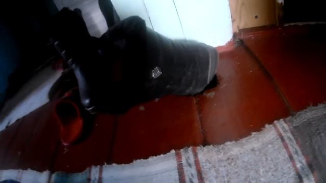 КОТ ВЫЛЕЗ ИЗ ДЫРЫ И СРЕТ В ТАПКИ смотреть онлайн