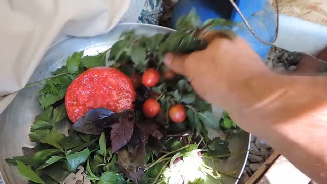 Грузинский супбульен из говяжих рёбрушек.