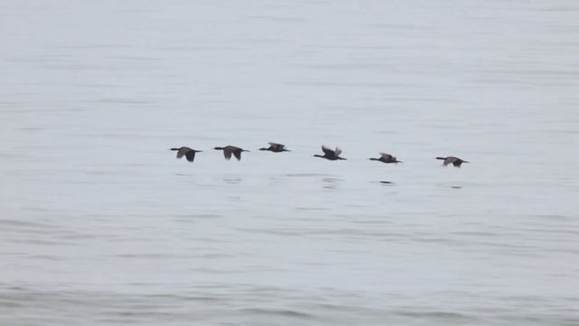 QUIKSILVER SURF CAMP KAMCHATKA. SURF&ADVENTURE