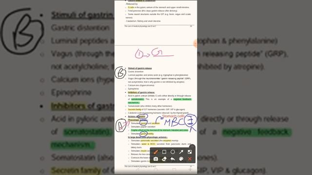 from core: Gastrin Hormone + other GIT HORMONES+Zollinger-Ellison syndrome смотреть онлайн