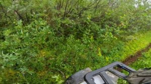 ПОКАТУШКА НА КВАДРИКЕ 4х2 200сс ! ЗАЛЕЗЛИ ТУДА КУДА НИКТО НЕ ЗАЛЕЗАЛ !