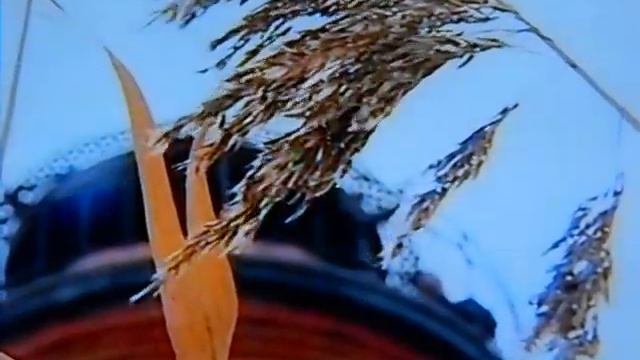 Планета океан 14 02 15 смотреть онлайн