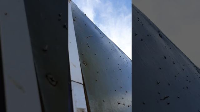 на что способен СОКОЛ ПРО! 1 ТОННА ГРУЗА ЗА СОБОЙ ! смотреть онлайн
