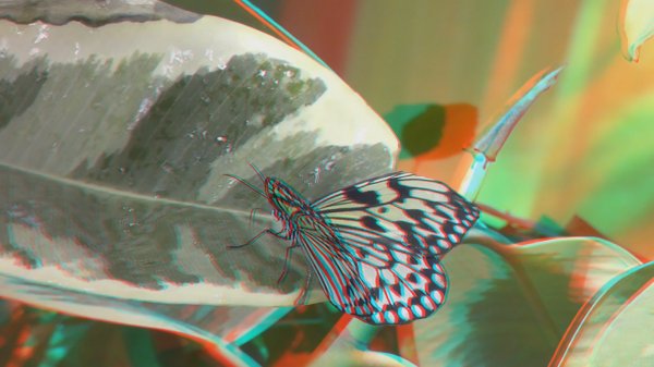 Бабочки 3D анаглиф Full HD