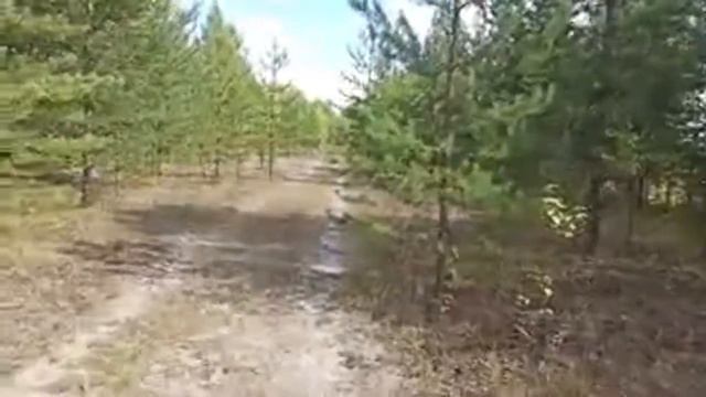 ПогрибыПоягоды (из глухой тайги без интернета) смотреть онлайн