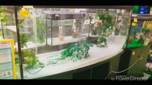 Начало ! Прогулка в ЭПИЦЕНТР за Грунтом для запуска аквариума RESUN DM 800 ч 2 .