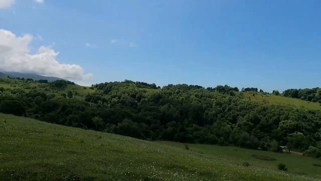 Абхазия 2022, Конные прогулки . Экскурсия, Цены, выводы смотреть онлайн