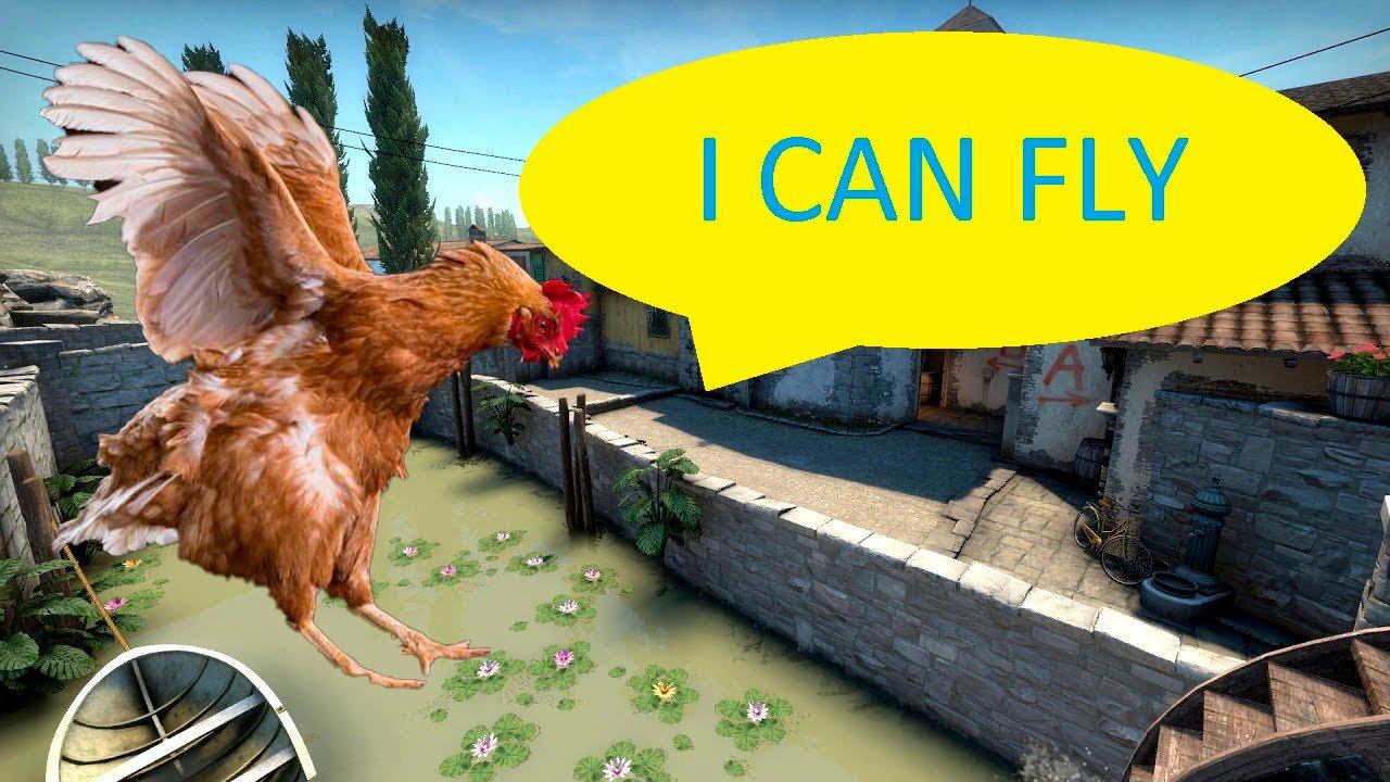 CSGO Курицы научились летать смотреть онлайн