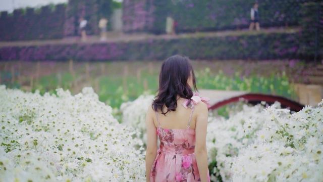 Can't Help Falling In Love Saxophone Mp3 Download 🎷Swing saxophone music 368 смотреть онлайн