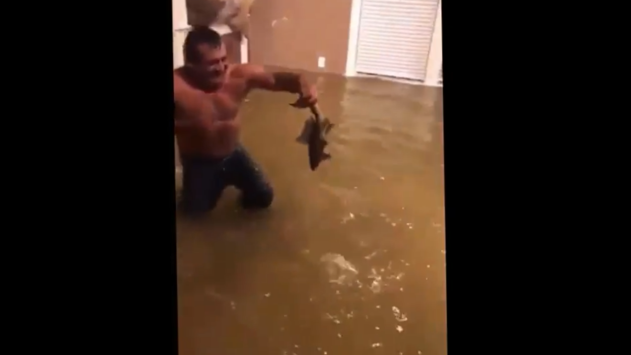Мужик голыми руками ловит рыбу у себя дома после урагана в Техасе смотреть онлайн