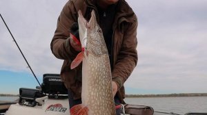 Рыбалка на Каме в сентябре. Щука и судак, джерки и воблеры. Подводная съемка