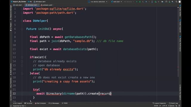 Import external Database from assets in Flutter App смотреть онлайн