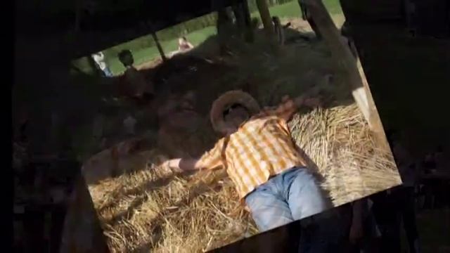 База Шале Десна- начало нашей стройки смотреть онлайн