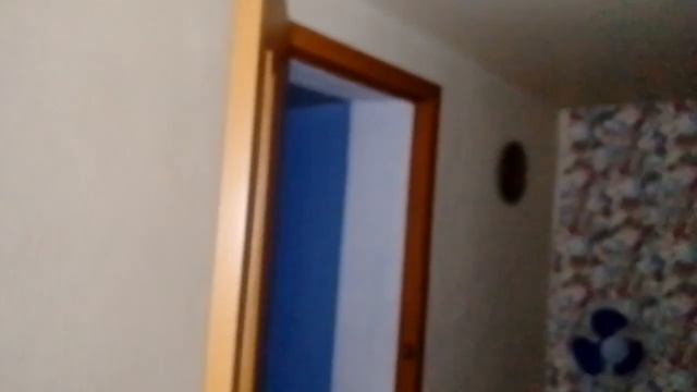 Сделку отменили//Дети привезли собаку//Пересадили Гибискус//Обзор покупок//Сосед дал холодильник . смотреть онлайн