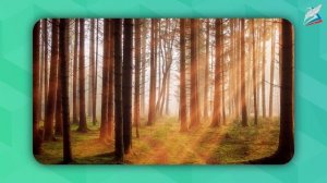 Образные возможности освещения в портрете  Роль цвета в портрете