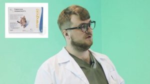Как вывести блох у кошки. Советы ветеринара.