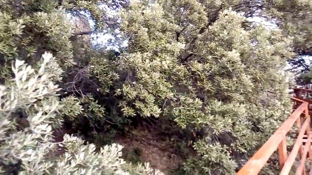 п-к Роман-Кош. .22 г. ГУРЗУФ. ГОРА БОЛГАТУРА смотреть онлайн