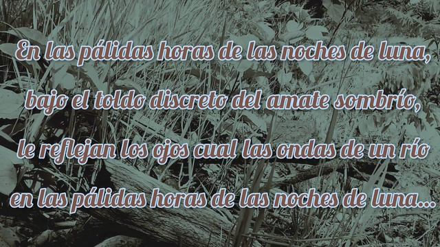 Ojos de la criolla Alfredo Espino poeta salvadoreño смотреть онлайн