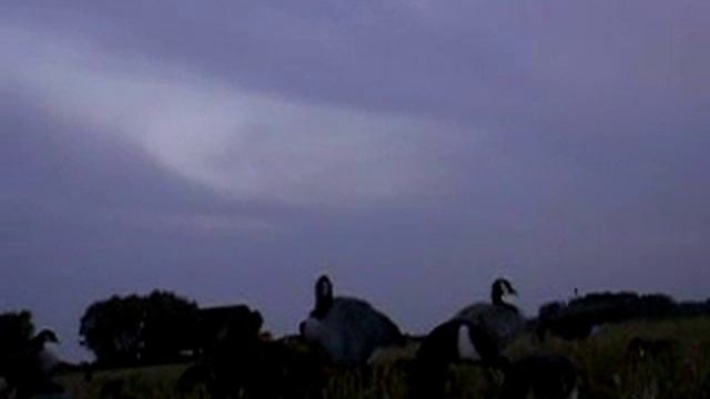Goose Hunting Team WackIT #7 смотреть онлайн