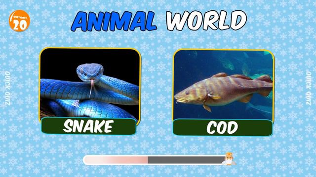 Guess The Country Name Ll Quick Quiz Part 52