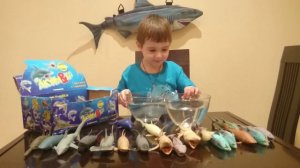 Коллекция АКУЛ МАКСИ от ДеАгостини "АКУЛЫ&КО"