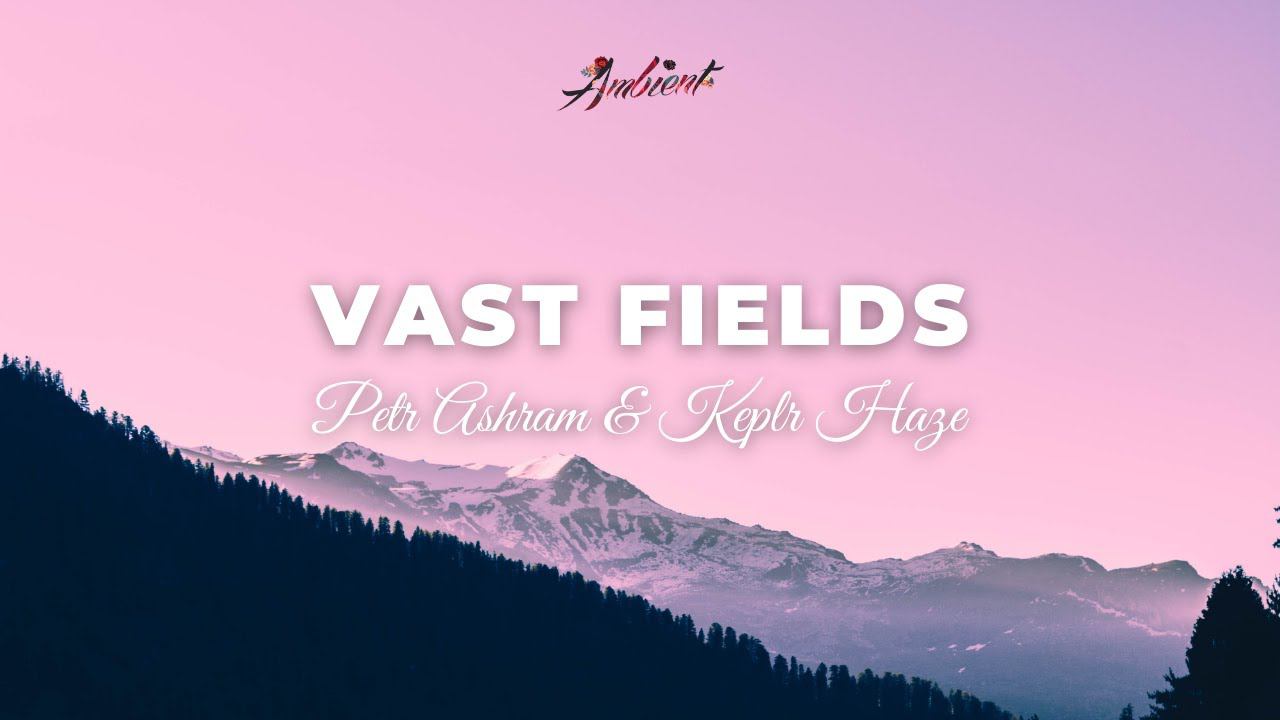 Petr Ashram & KEPLR HAZE - Vast Fields [ambient Instrumental Newage]