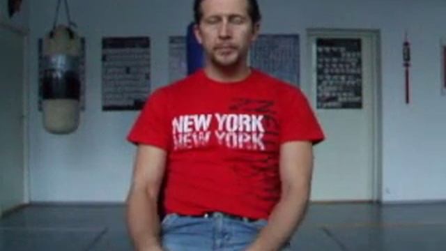 Wing Tsun ( Chun ) and MMA..Part 1