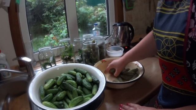 ОГУРЦЫ КОРНИШОНЫ САМЫЙ УДАЧНЫЙ РЕЦЕПТ (такого в интернете нет). смотреть онлайн