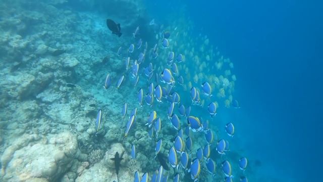 Вот как выглядит глобальное потепление НА 3 градуса смотреть онлайн