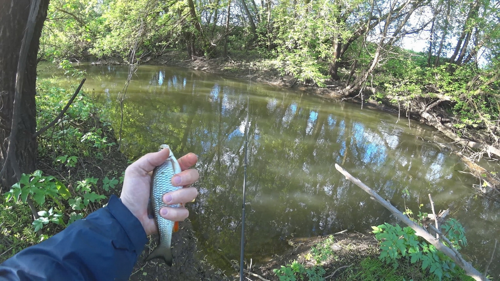 Голавлики и шнурки Орловской Оки. Прогулка по микро речке в непогоду.