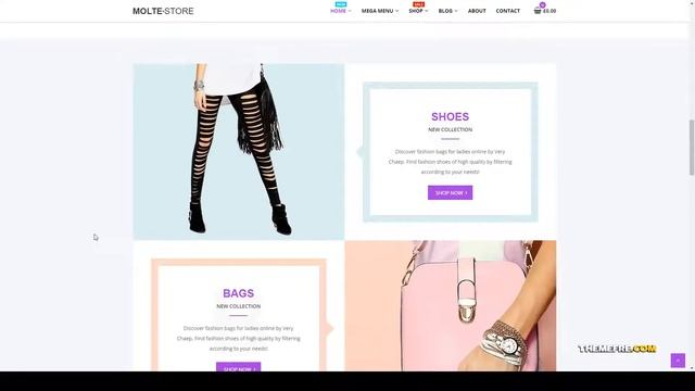 Molte - Store Fashion and Food WooCommerce Theme 15 electronics Build Website смотреть онлайн