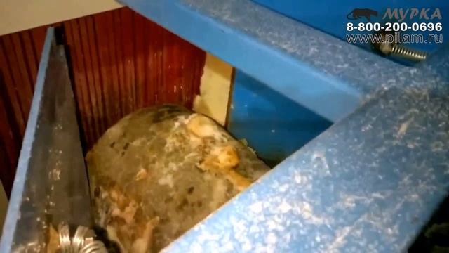 Брусующий станок до 48 диаметра пилит в 3 смены дикая производительность смотреть онлайн