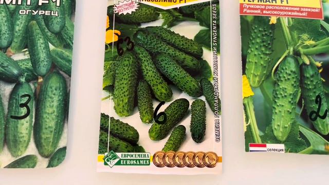СЕМЕНА ОГУРЦОВ🥒НА 2024 год👩🌾😉 смотреть онлайн