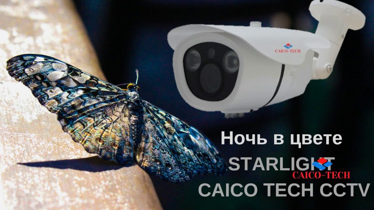 НОЧЬ в ЦВЕТЕ CAICO TECH CCTV светочувствительные видеокамеры смотреть онлайн