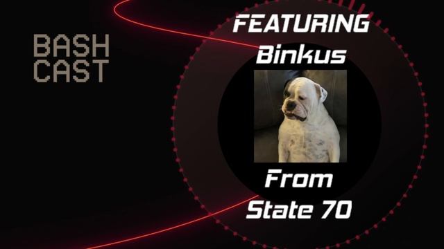 WhiteOut Survival Player Interview: Binkus смотреть онлайн