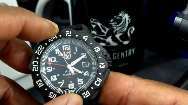 Luminox F-117 Nighthawk 6441
