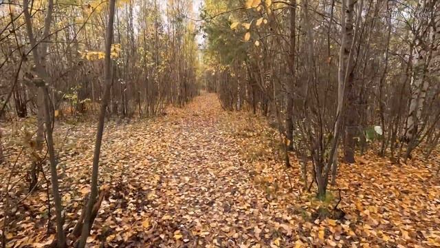 УЖ НЕБО ОСЕНЬЮ ДЫШАЛО смотреть онлайн