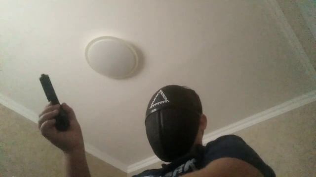 мокрая коала не гугли это смотреть онлайн