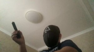 мокрая коала не гугли это