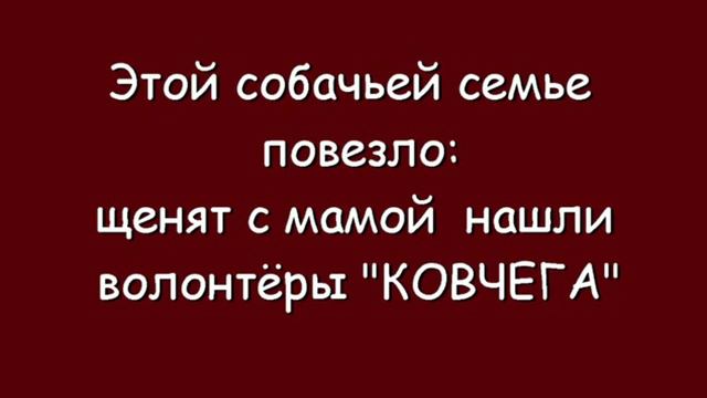 история 3 шумел камыш movie смотреть онлайн