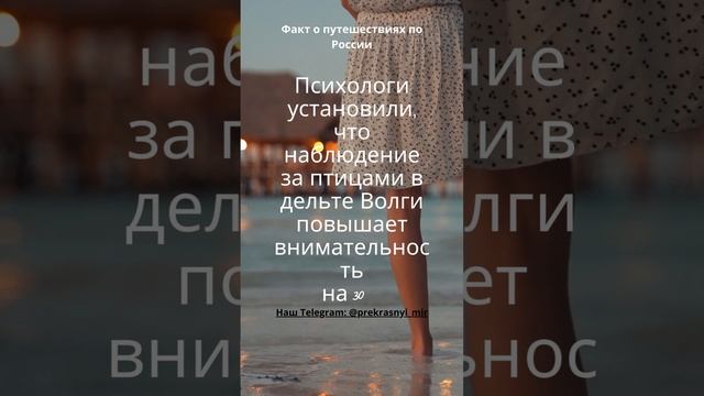 Путешествия по России смотреть онлайн