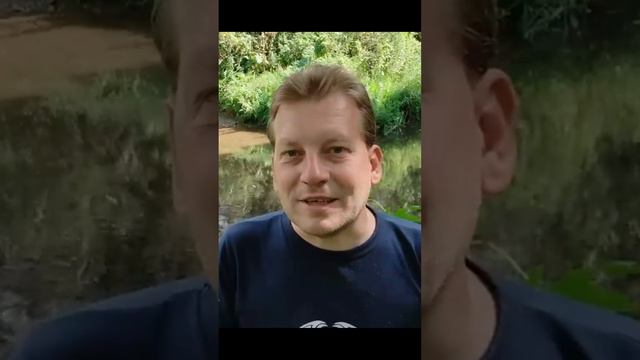 Благодаря чему переносится электрический ток? смотреть онлайн