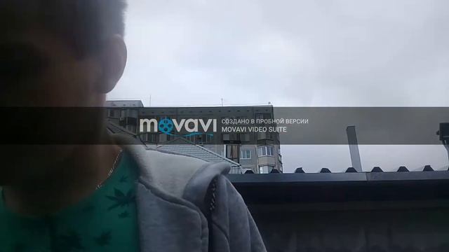 сарай из профтрубы