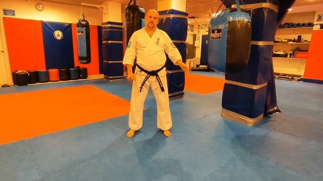 Мир  каратэ старой школы и гармония жизни.