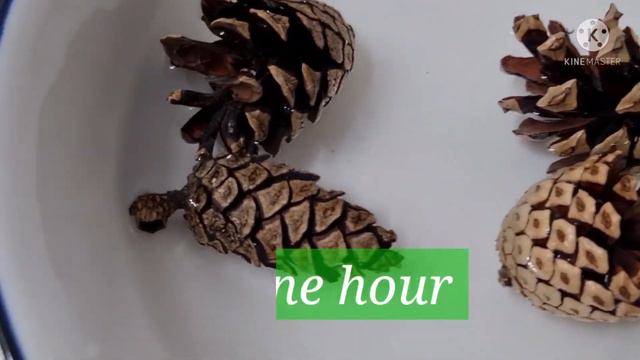 DYI Pine Cone Air Purifier