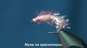 Мухи на красноперку